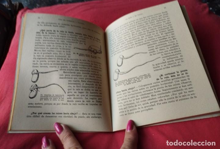 Libros de segunda mano: Libro Animales y plantas editorial Teide 1963 - Foto 3