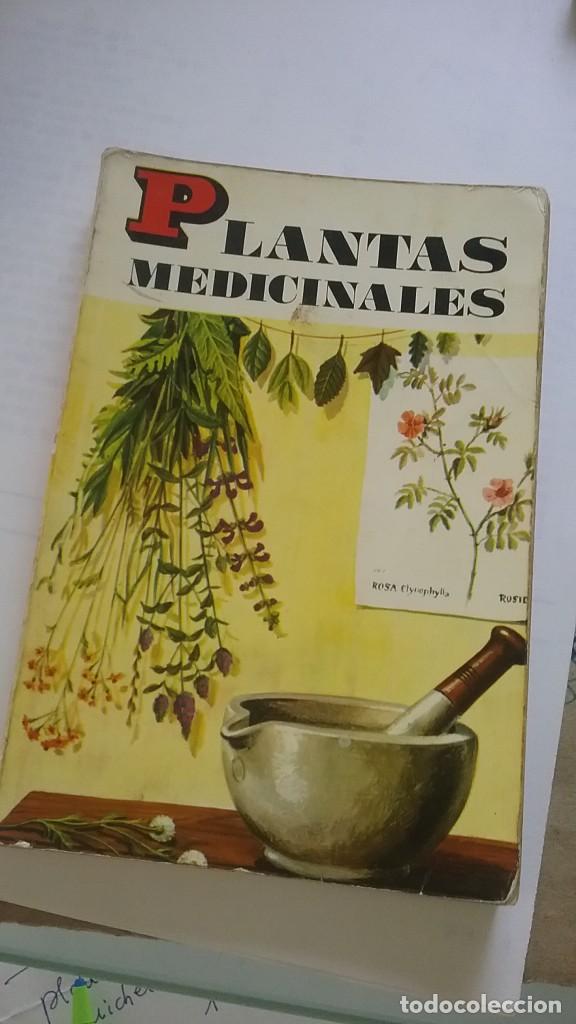 Libros de segunda mano: Plantas medicinales. 1973 (676-2) - Foto 1