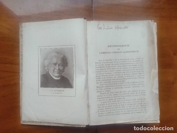 Libros de segunda mano: La abeja y la colmena. Langstroth- Dadant. Leer descripci&oacute;n - Foto 2