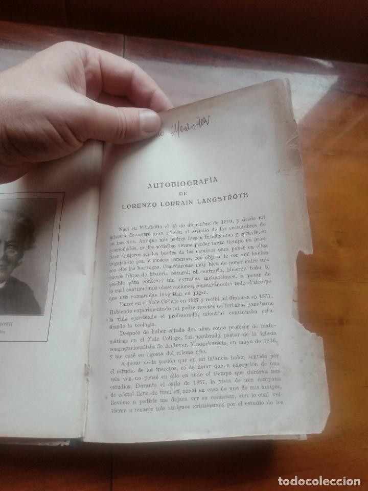 Libros de segunda mano: La abeja y la colmena. Langstroth- Dadant. Leer descripci&oacute;n - Foto 3