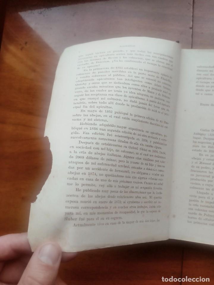 Libros de segunda mano: La abeja y la colmena. Langstroth- Dadant. Leer descripci&oacute;n - Foto 4