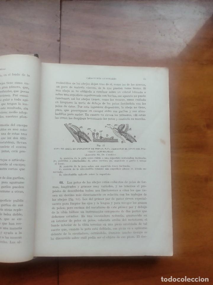 Libros de segunda mano: La abeja y la colmena. Langstroth- Dadant. Leer descripci&oacute;n - Foto 5