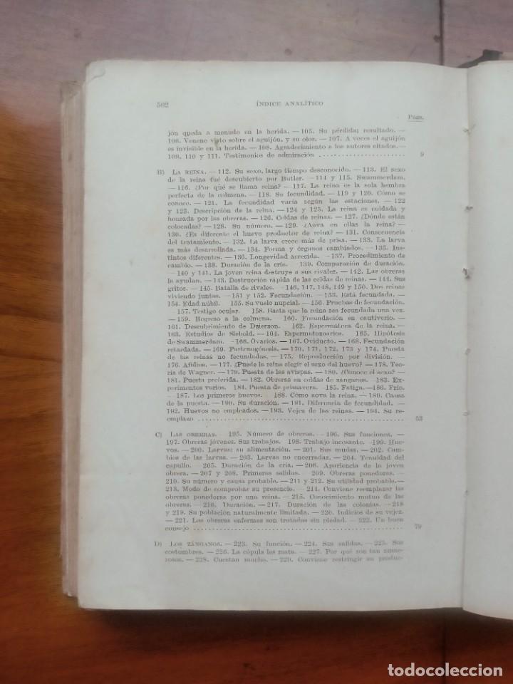 Libros de segunda mano: La abeja y la colmena. Langstroth- Dadant. Leer descripci&oacute;n - Foto 7
