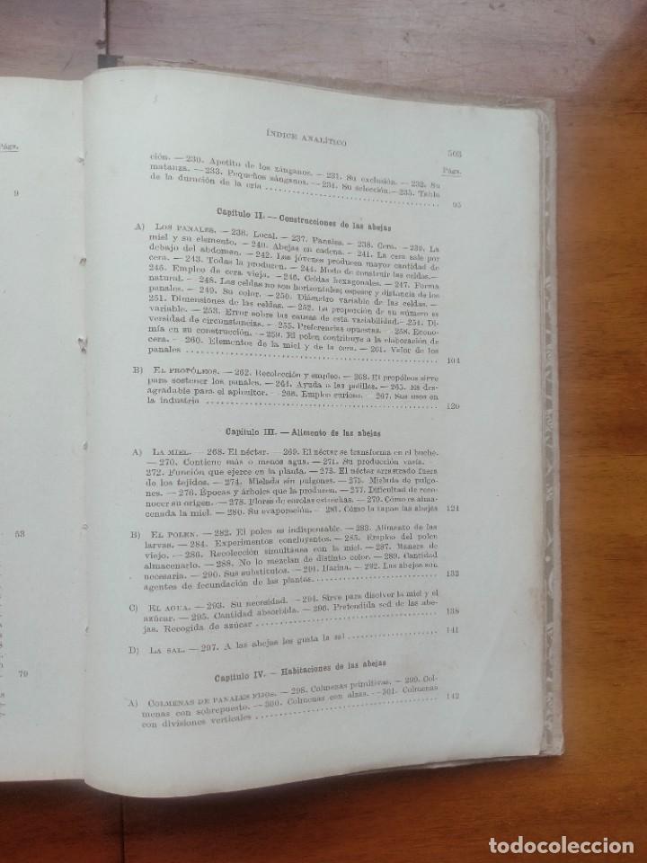 Libros de segunda mano: La abeja y la colmena. Langstroth- Dadant. Leer descripci&oacute;n - Foto 8