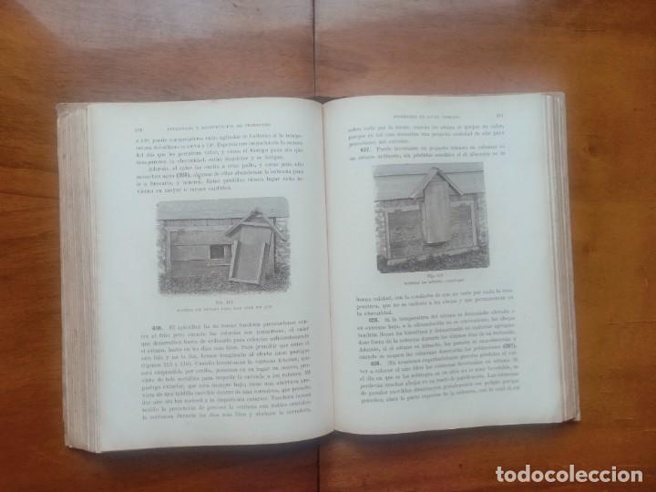 Libros de segunda mano: La abeja y la colmena. Langstroth- Dadant. Leer descripci&oacute;n - Foto 9