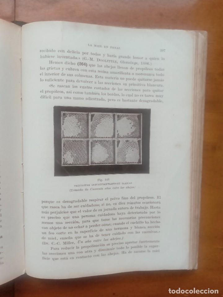 Libros de segunda mano: La abeja y la colmena. Langstroth- Dadant. Leer descripci&oacute;n - Foto 10