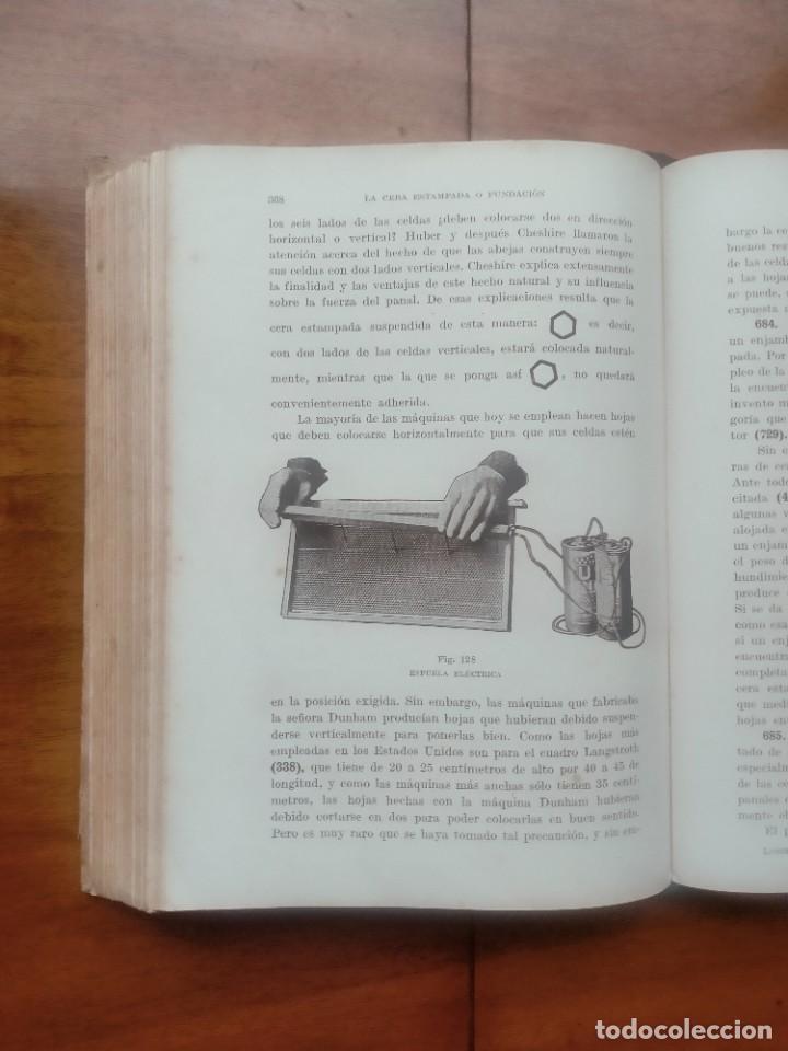Libros de segunda mano: La abeja y la colmena. Langstroth- Dadant. Leer descripci&oacute;n - Foto 11