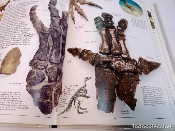 Libros de segunda mano: Los dinosaurios. Biblioteca visual Altea SA10781 - Foto 4