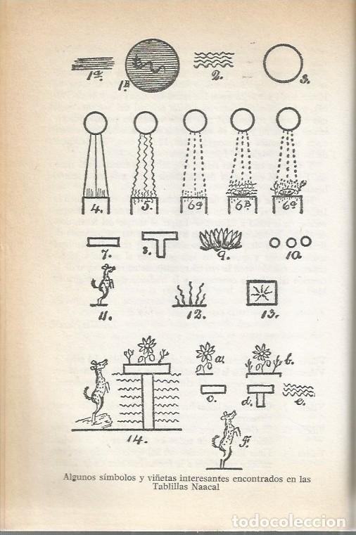 Libros de segunda mano: EL CONTINENTE PERDIDO DE MU-James Churchward - Foto 4