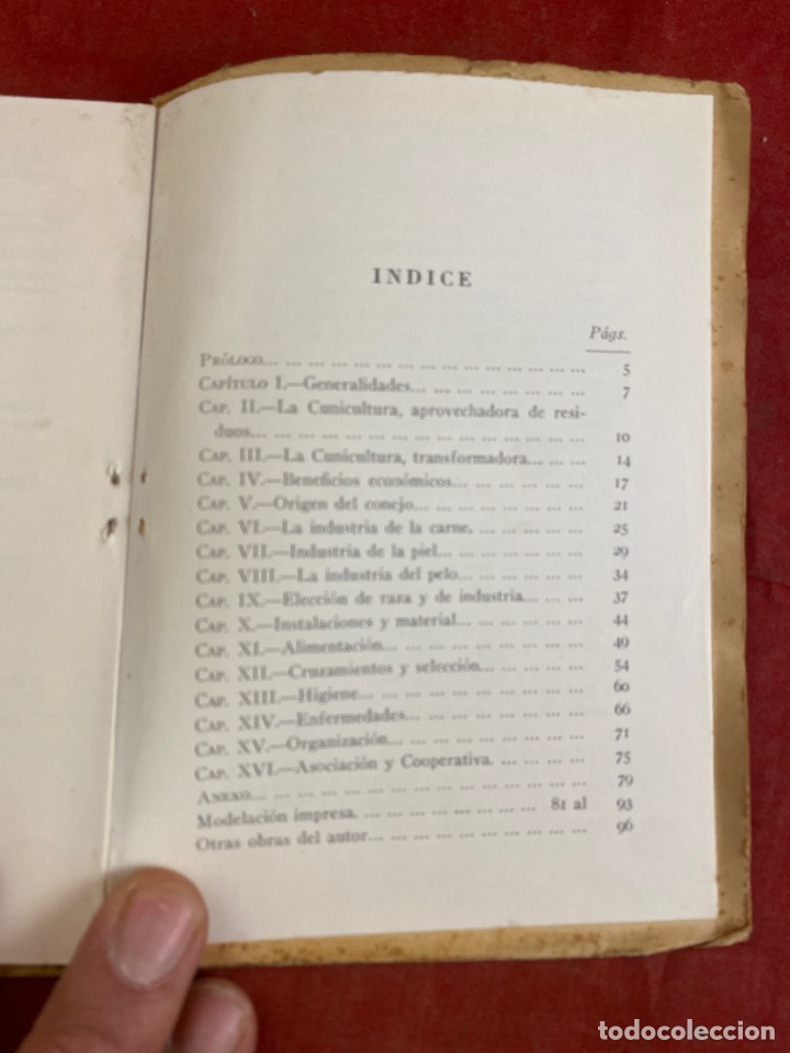 Libros de segunda mano: CUNICULTURA - Foto 3