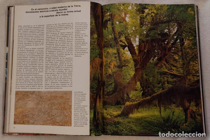 Libros de segunda mano: LA TIERRA. - Foto 3
