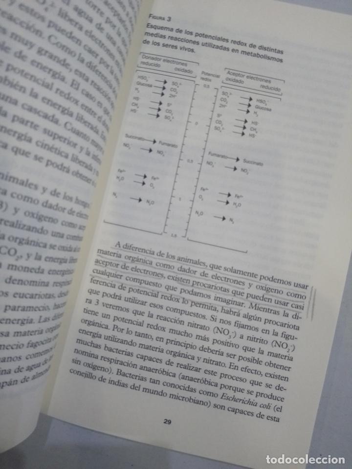 Libros de segunda mano: Carlos Pedr&oacute;s-Ali&oacute; - La vida al l&iacute;mite (&iquest;Qu&eacute; sabemos de...?) - Foto 2