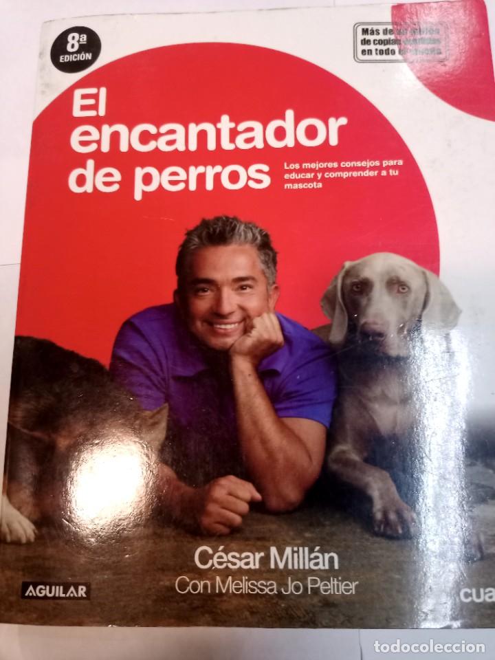Libros de segunda mano: C&Eacute;SAR MILL&Aacute;N El encantador de perros SA10838 - Foto 1