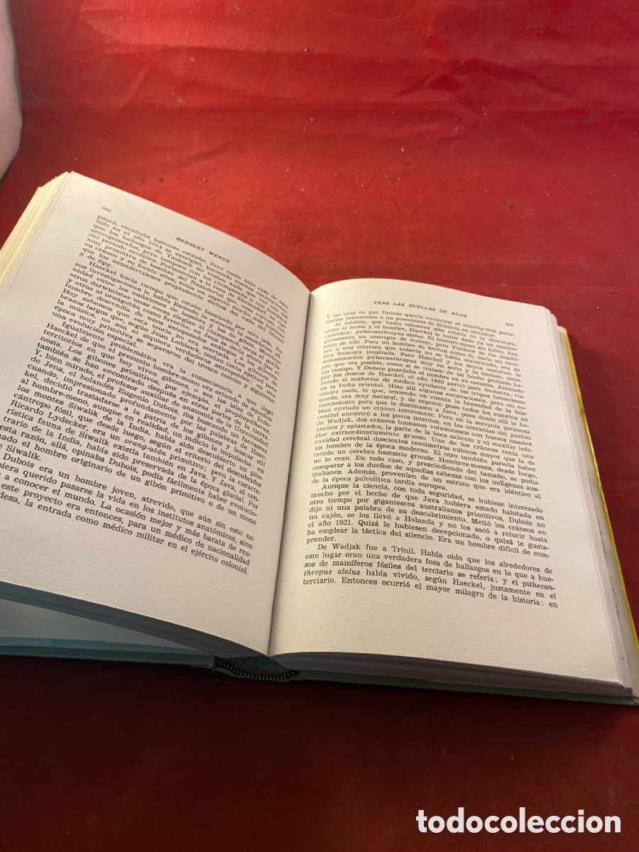 Libros de segunda mano: Tras las huellas de Ad&aacute;n - Foto 3