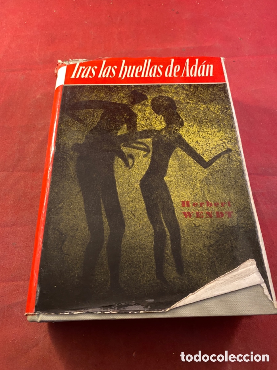 Libros de segunda mano: Tras las huellas de Ad&aacute;n - Foto 1