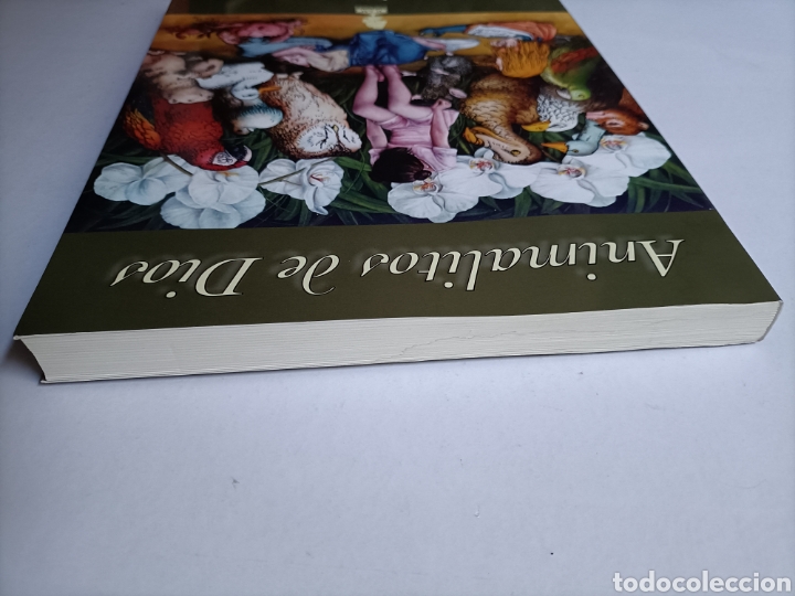 Libros de segunda mano: Animalitos de Dios. Omar L&oacute;pez Mato - Foto 5