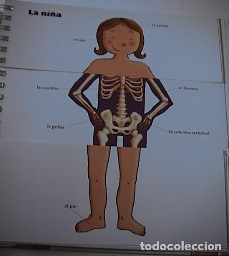 Libros de segunda mano: EL CUERPO HUMANO - Foto 5