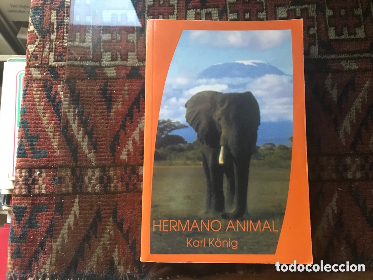 Libros de segunda mano: Hermano animal. Karl Konig - Foto 1
