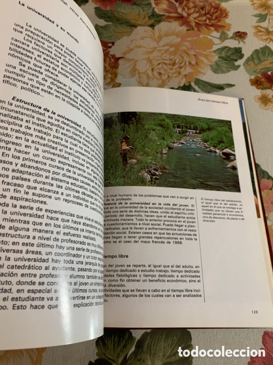 Libros de segunda mano: Programa de formaci&oacute;n de padres. Adolescencia. Volumen VII. - Foto 9