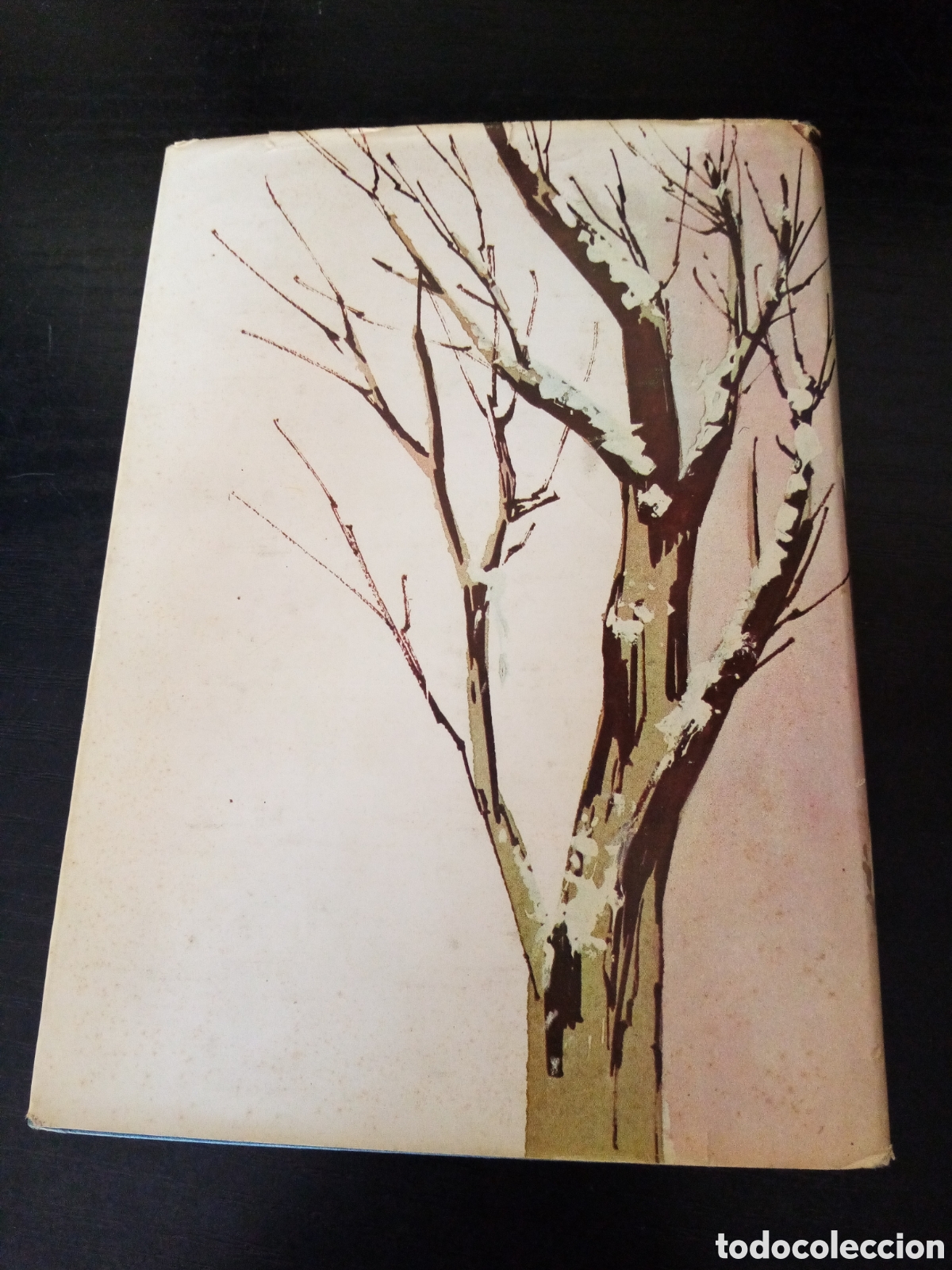 Libros de segunda mano: Canci&oacute;n de Navidad -Charles Dickens- - Foto 3