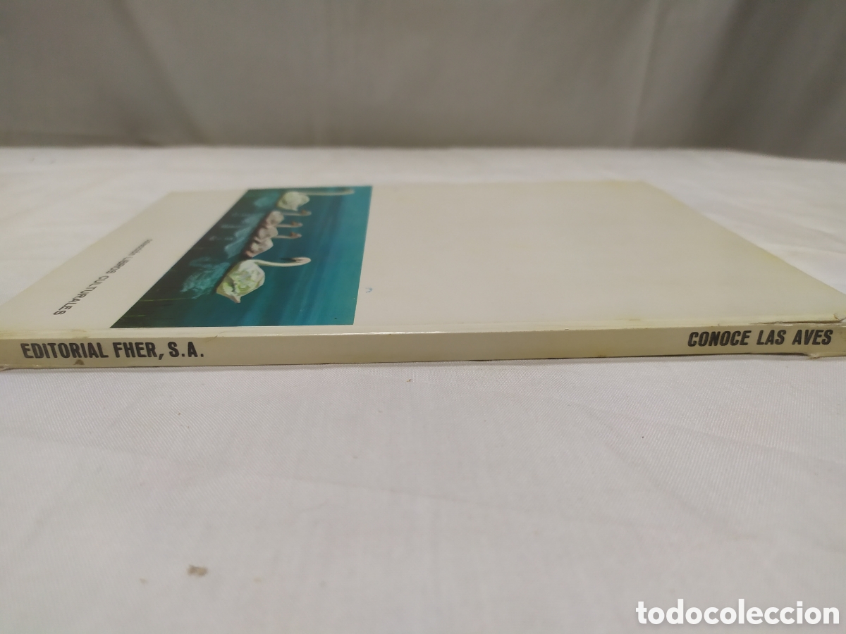 Libros de segunda mano: Conoce las aves. Editorial Fher, 1968 - Foto 2
