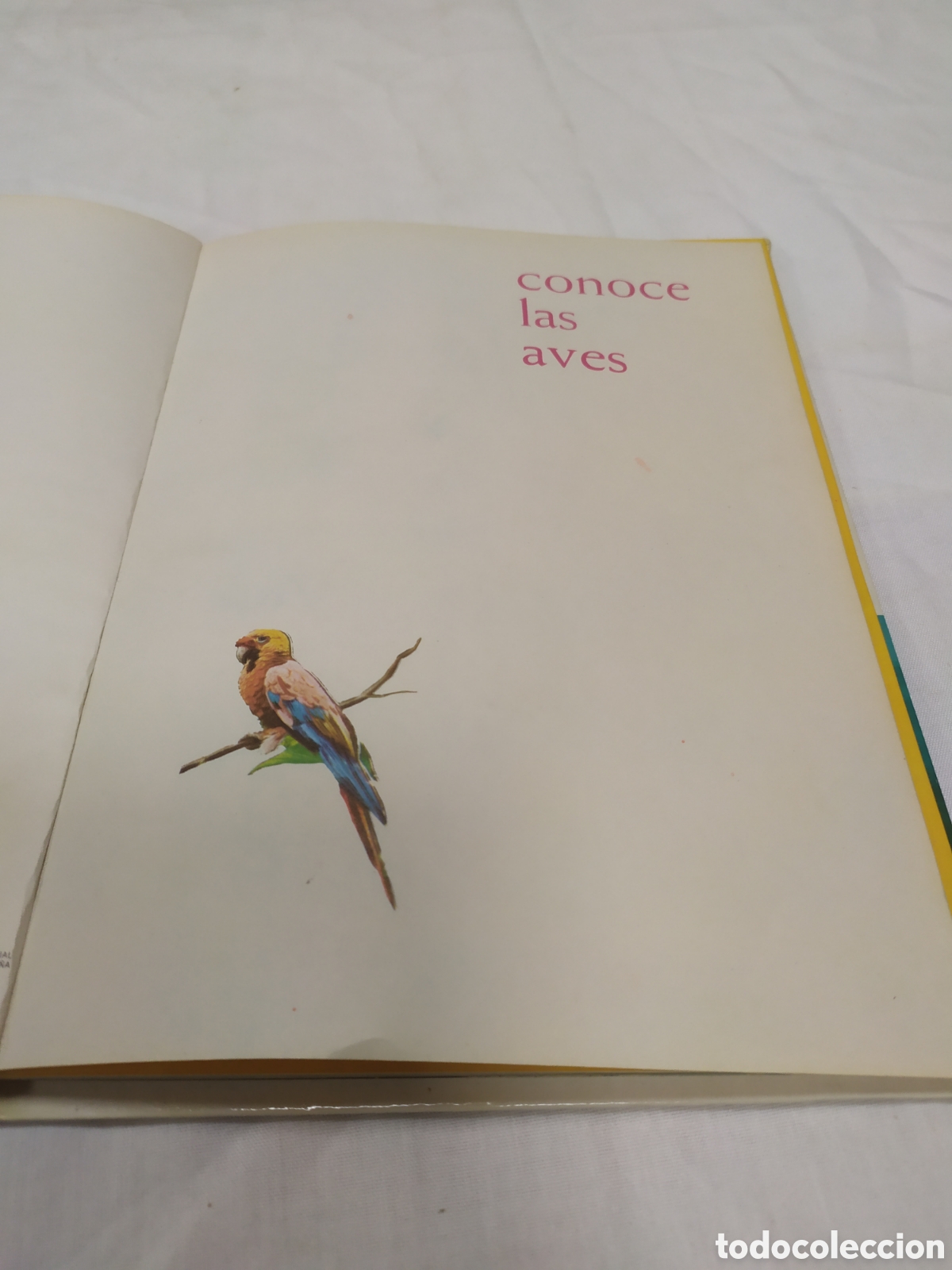 Libros de segunda mano: Conoce las aves. Editorial Fher, 1968 - Foto 3