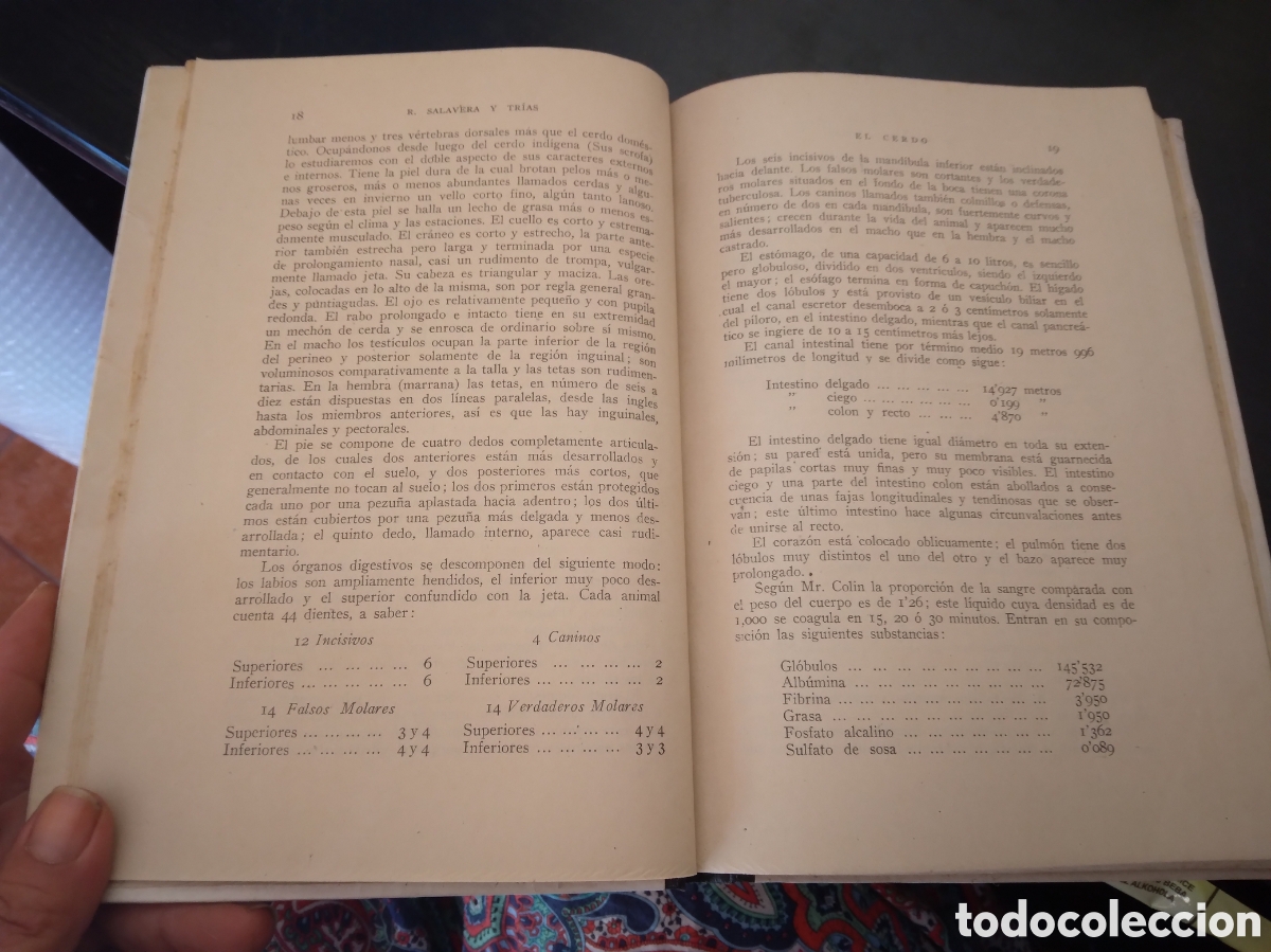 Libros de segunda mano: El cerdo - Rafael Salavera y Tr&iacute;as. - Foto 5