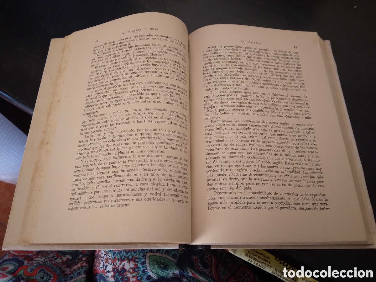 Libros de segunda mano: El cerdo - Rafael Salavera y Tr&iacute;as. - Foto 6