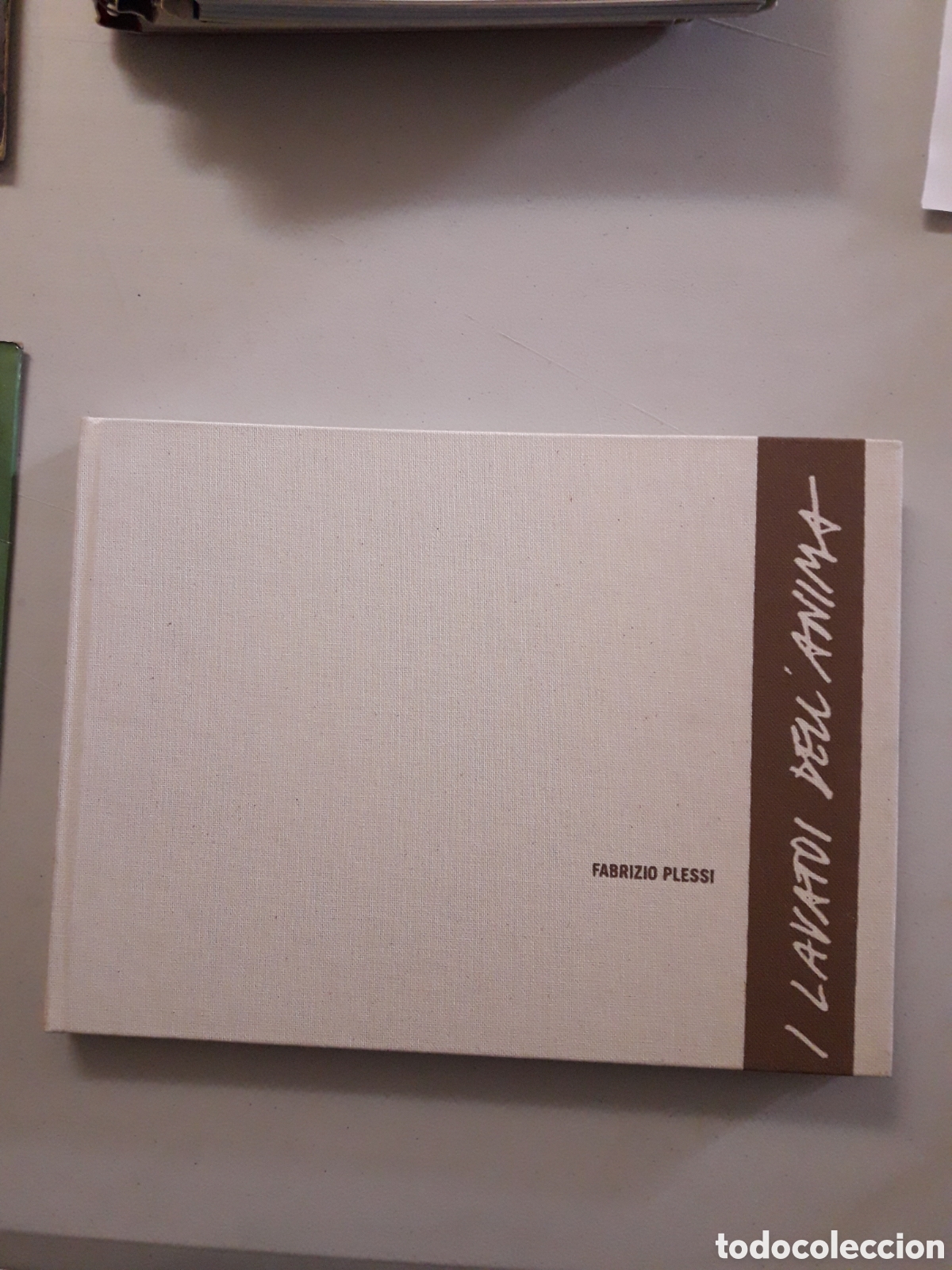 Libros de segunda mano: FABRIZIO PLESSI. I LAVATOI DELLANIMA - Foto 1