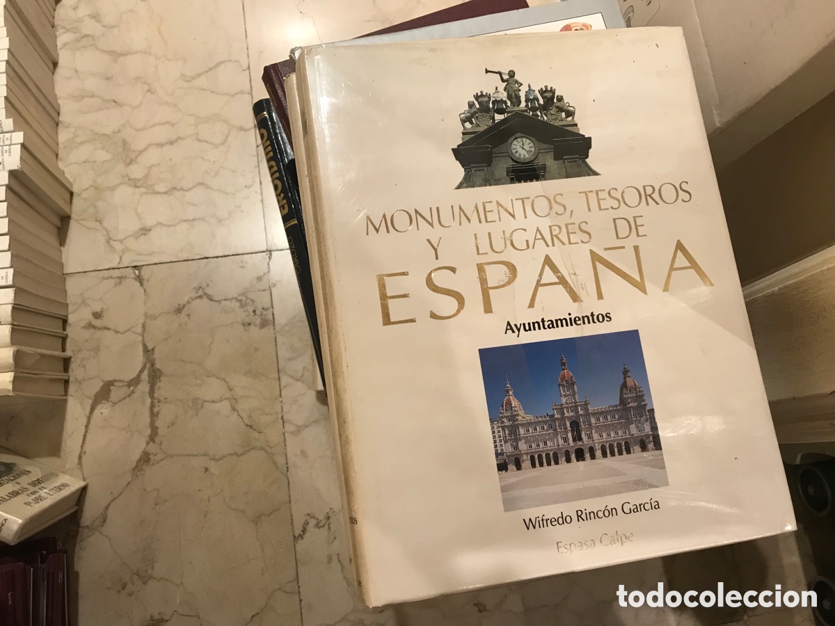 Libros de segunda mano: Ayuntamientos. Wilfredo Rinc&oacute;n. Espasa-Calpe - Foto 1