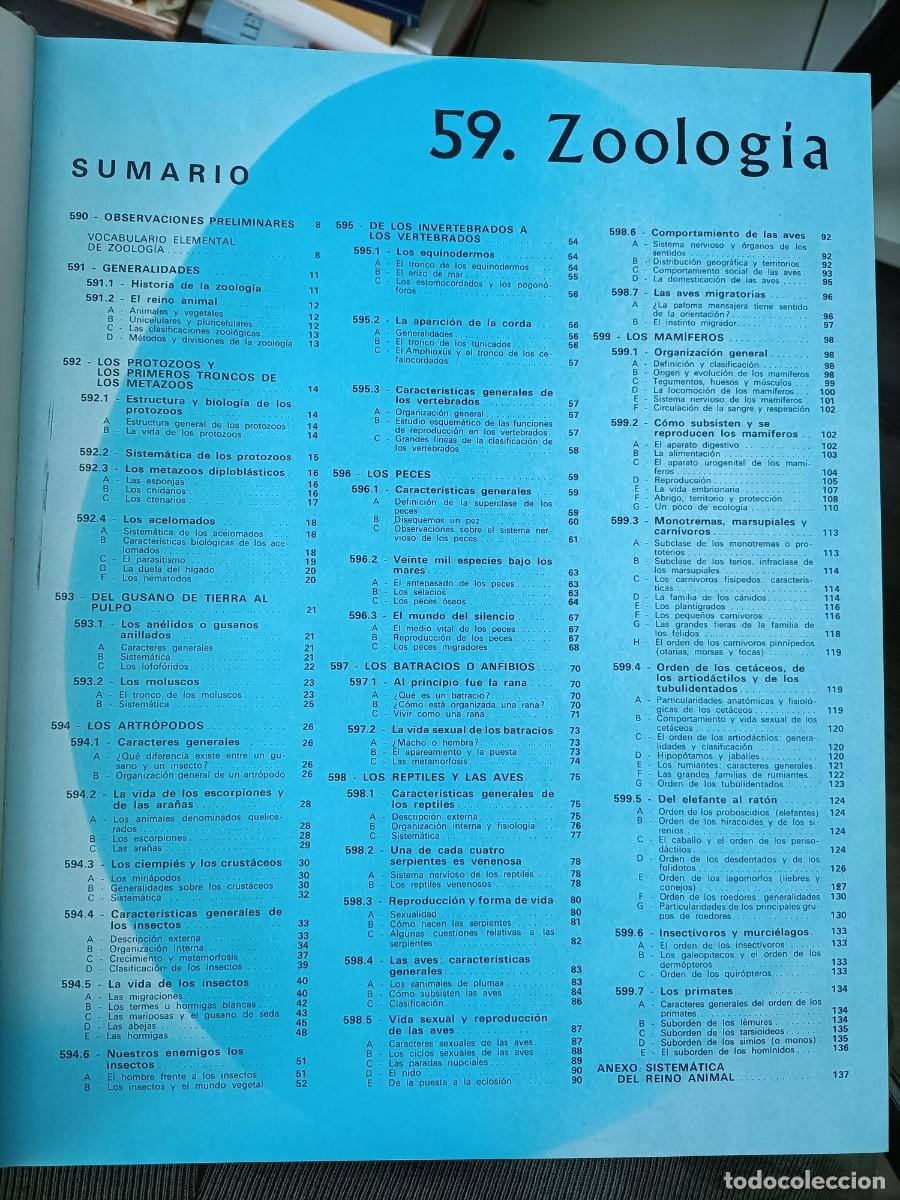 Libros de segunda mano: Zoolog&iacute;a. Argos Enciclopedia Tem&aacute;tica - Foto 4