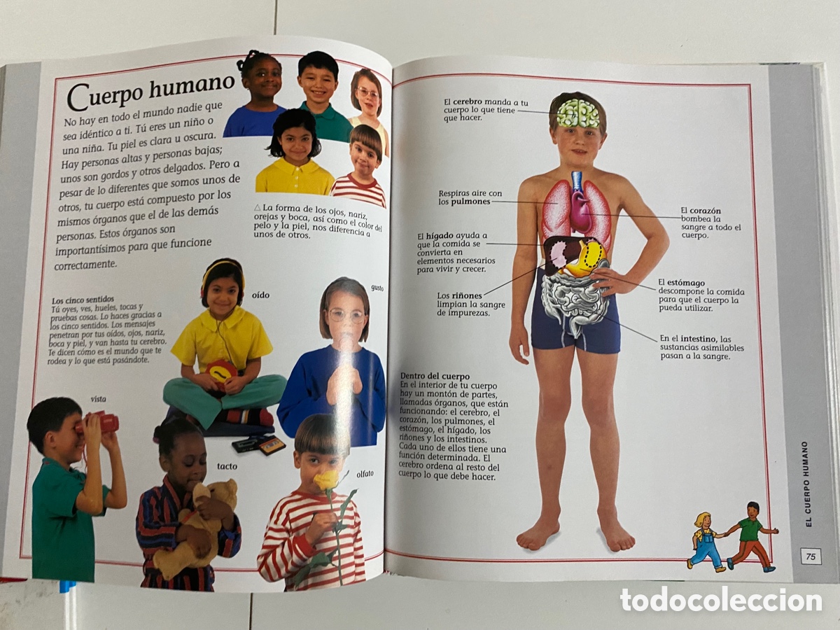 Libros de segunda mano: Tu Primera Enciclopedia . Susaeta - Foto 4