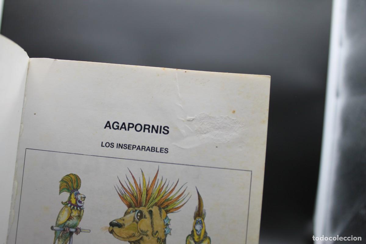 Libros de segunda mano: AGAPORNIS LOS INSEPARABLES 1994 - Foto 2