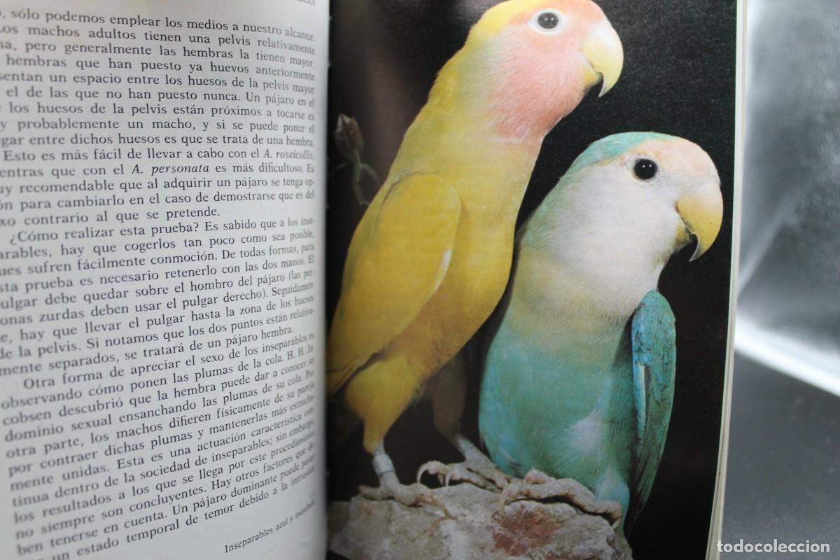 Libros de segunda mano: AGAPORNIS LOS INSEPARABLES 1994 - Foto 4