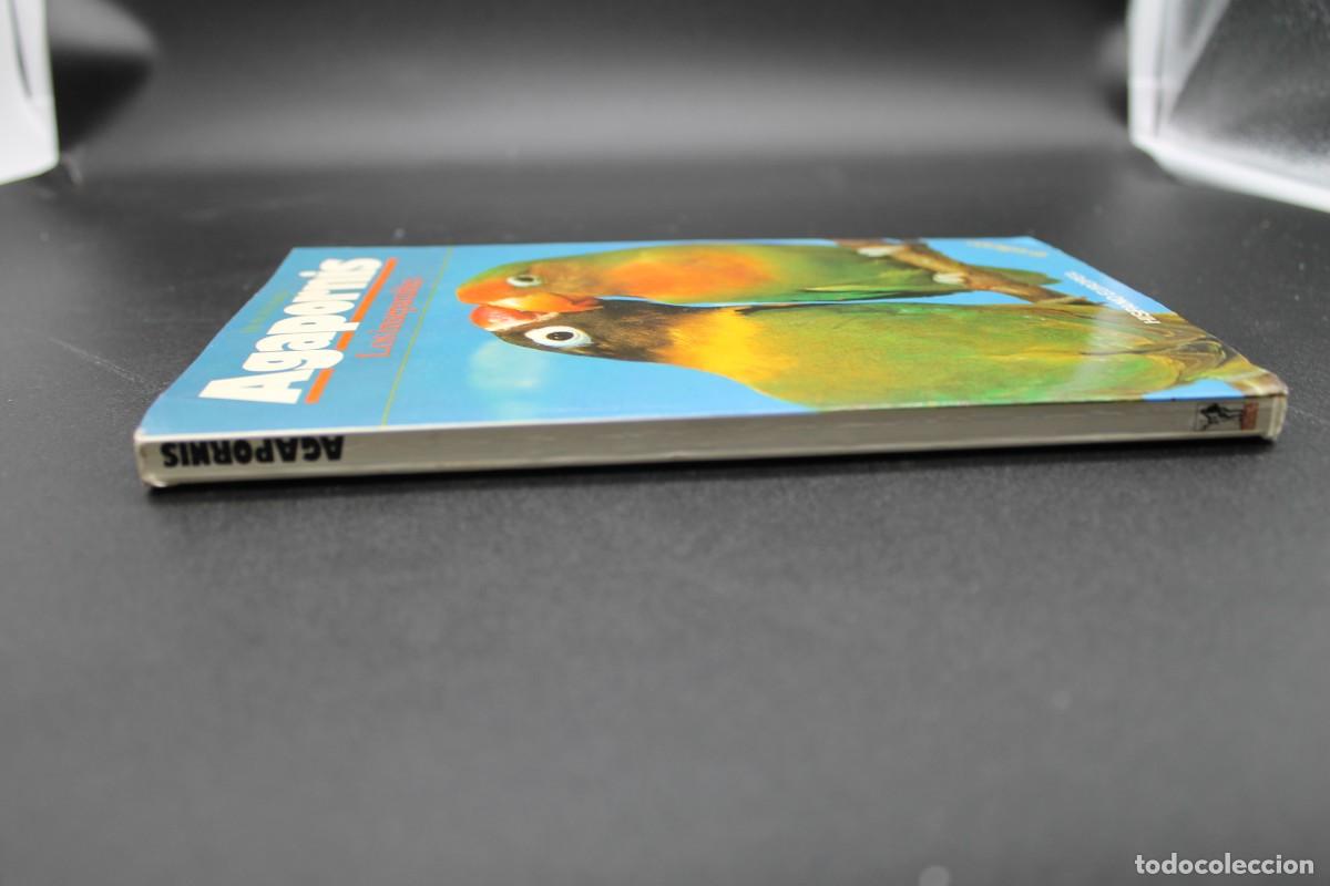 Libros de segunda mano: AGAPORNIS LOS INSEPARABLES 1994 - Foto 6