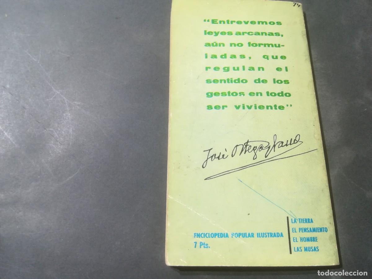 Libros de segunda mano: GRAFOLOGIA / MARY MULLER / A&Ntilde;64 / EDICIONES GP - Foto 6