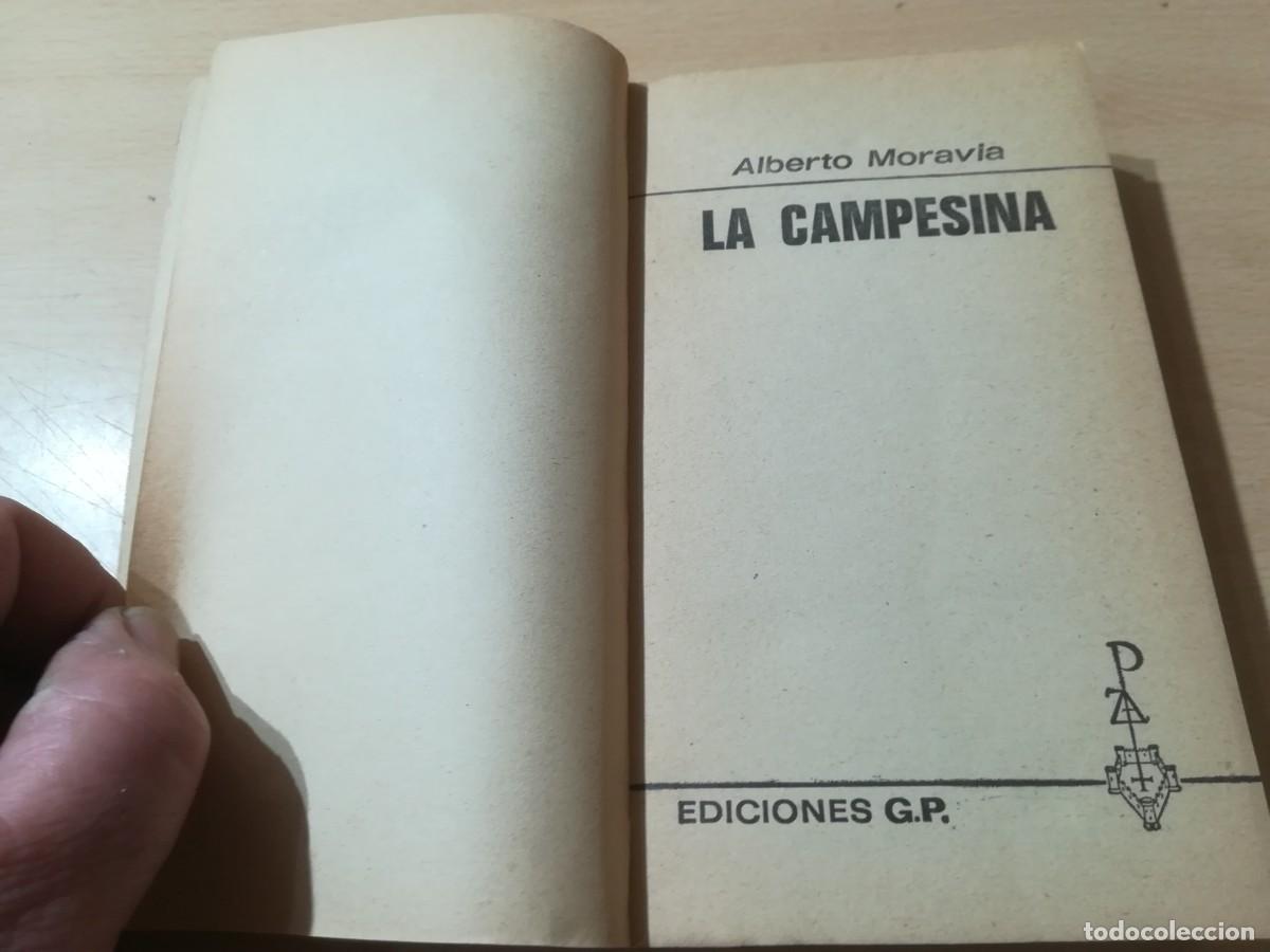 Libros de segunda mano: LA CAMPESINA / ALBERTO MORAVIA / AK85 / EDICIONES GP - Foto 3