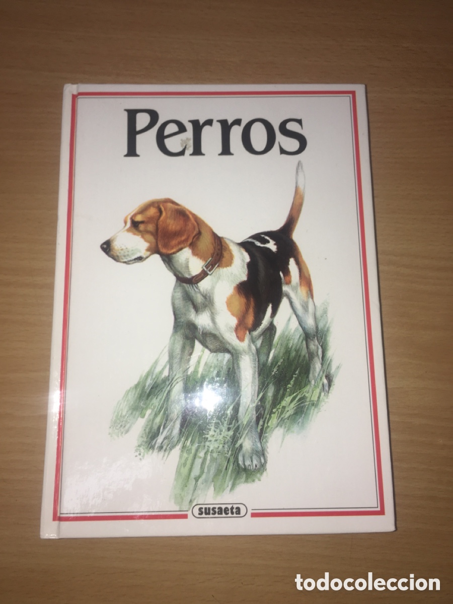 Libros de segunda mano: Perros - Susaeta - Foto 1