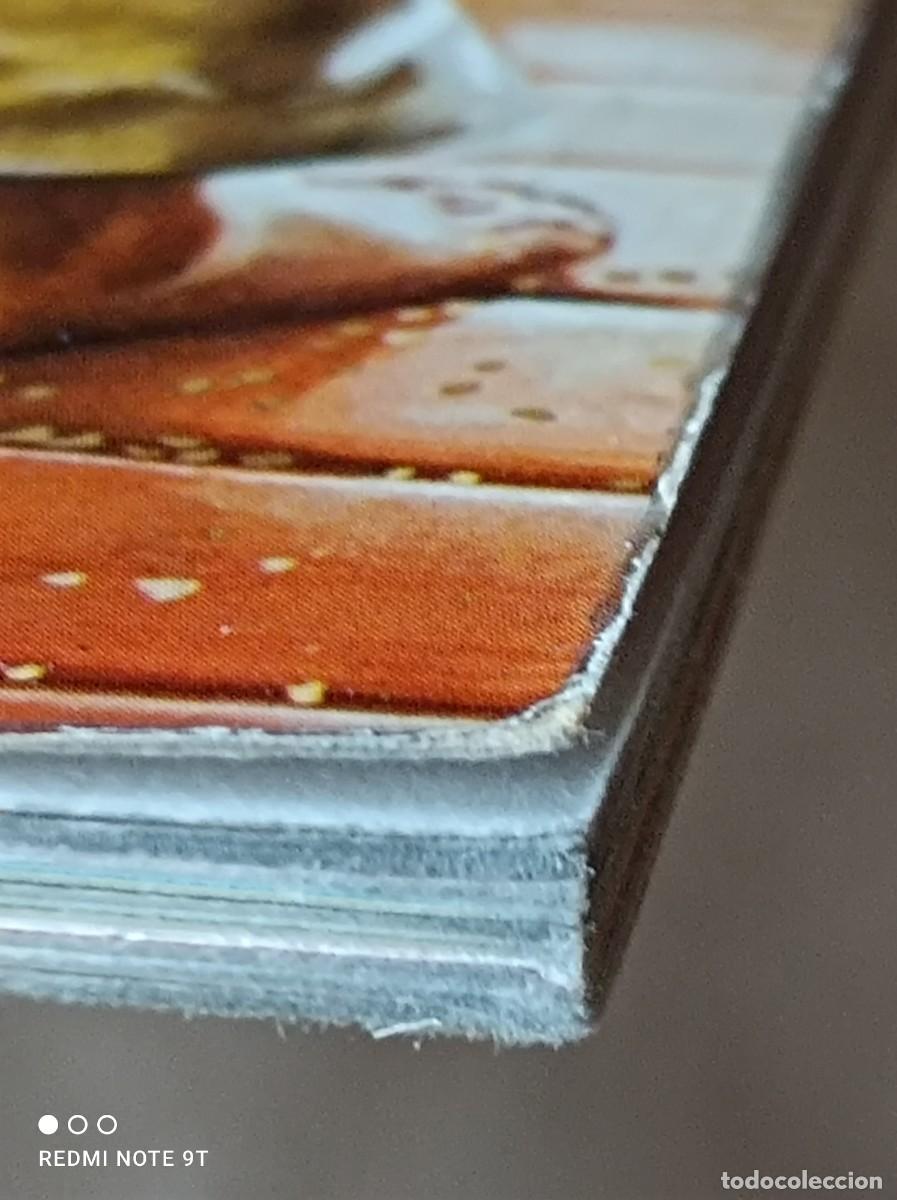 Libros de segunda mano: LIBRO PLESA LA ERA DE LOS BARCOS A VELA. GPB. NAISH Y HEARTHER AMERY - Foto 5