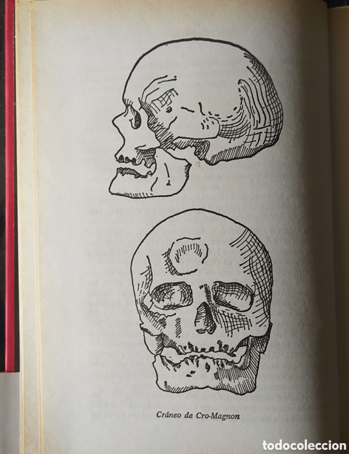 Libros de segunda mano: EL MISTERIO VASCO 1979 - Foto 6