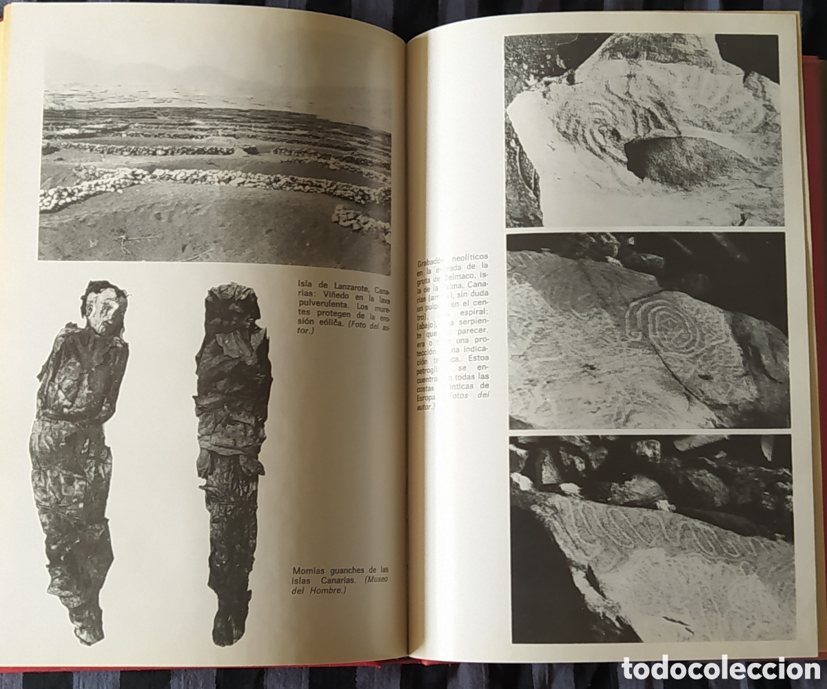 Libros de segunda mano: EL MISTERIO VASCO 1979 - Foto 8