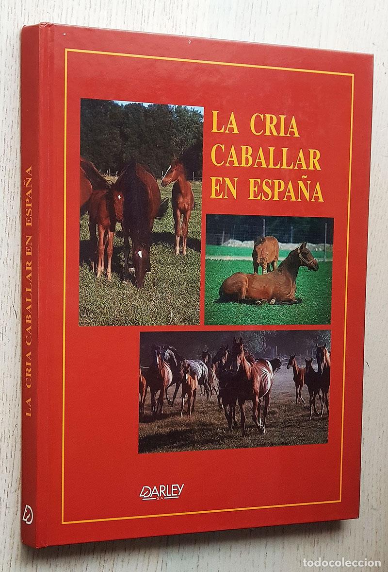 Libros de segunda mano: LA CR&Iacute;A CABALLAR EN ESPA&Ntilde;A - V.V.A.A. - Foto 1