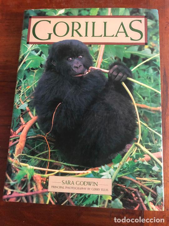 Libros de segunda mano: SARA GODWIN, GORILLAS 37 cm x 27 cm - Foto 4