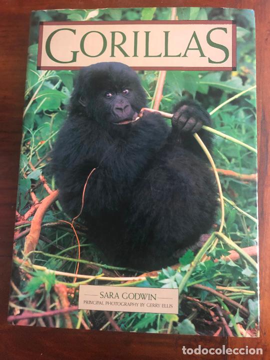 Libros de segunda mano: SARA GODWIN, GORILLAS 37 cm x 27 cm - Foto 1