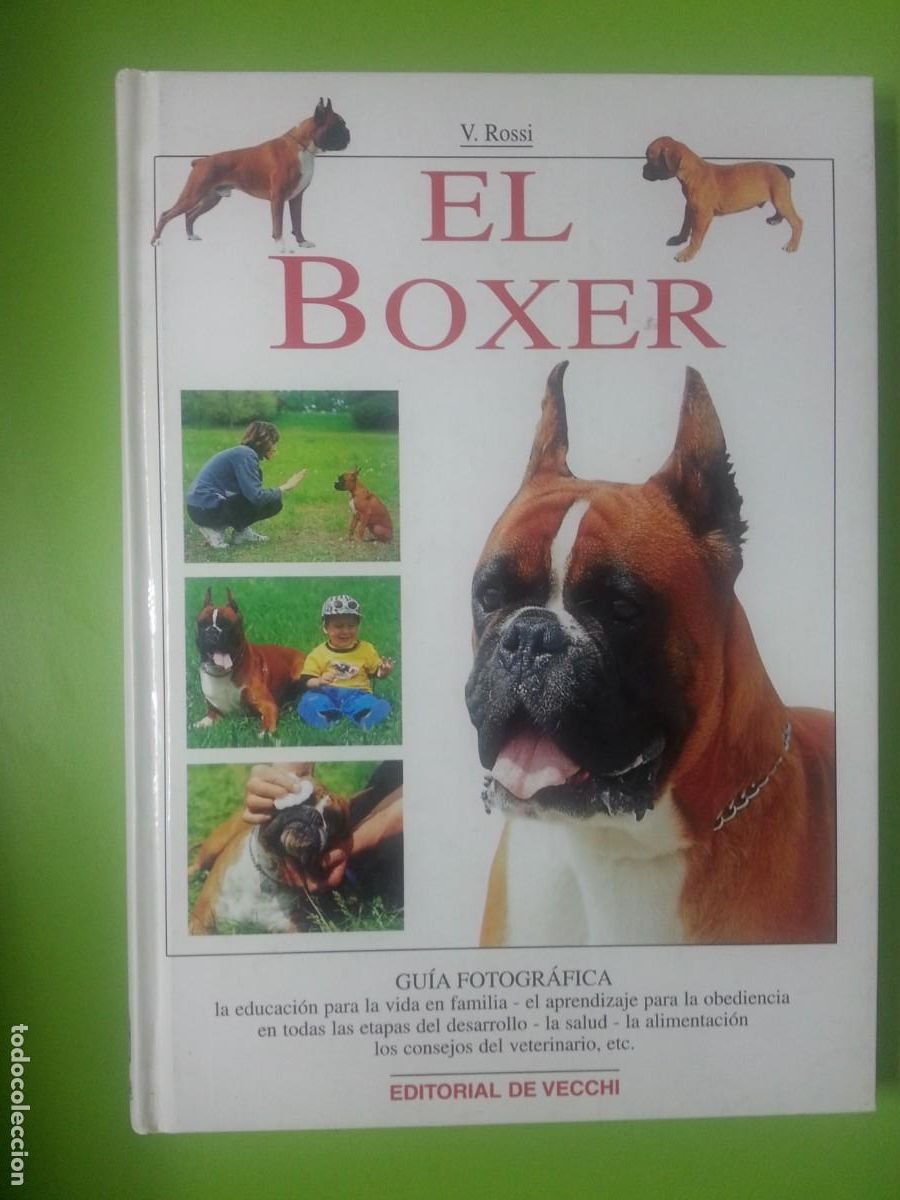 Libros de segunda mano: EL BOXER - V ROSSI - Foto 1