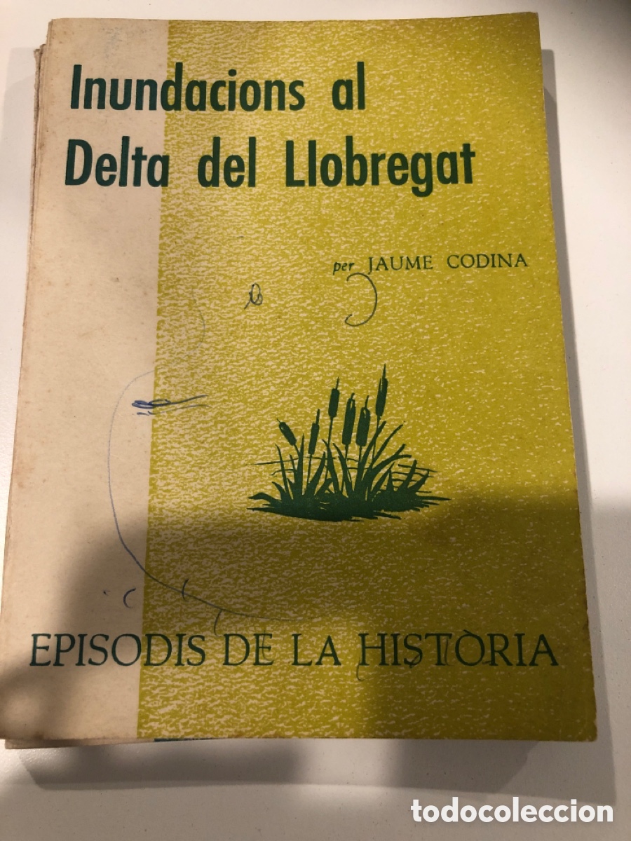 Libros de segunda mano: Inundacions al delta del llobregat - Foto 1
