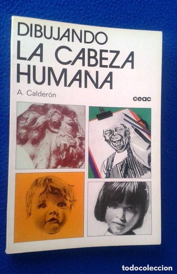 Libros de segunda mano: DIBUJANDO LA CABEZA HUMANA - A. CALDER&Oacute;N - Foto 1