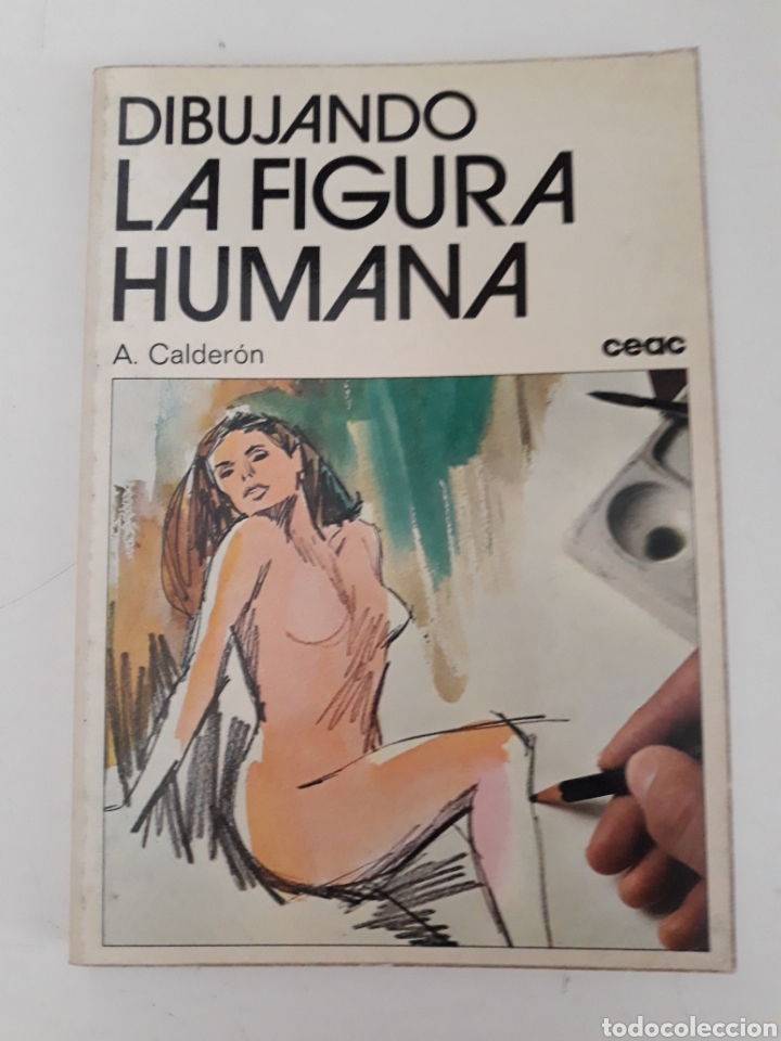 Libros de segunda mano: DIBUJANDO LA FIGURA HUMANA - A. CALDER&Oacute;N - Foto 1