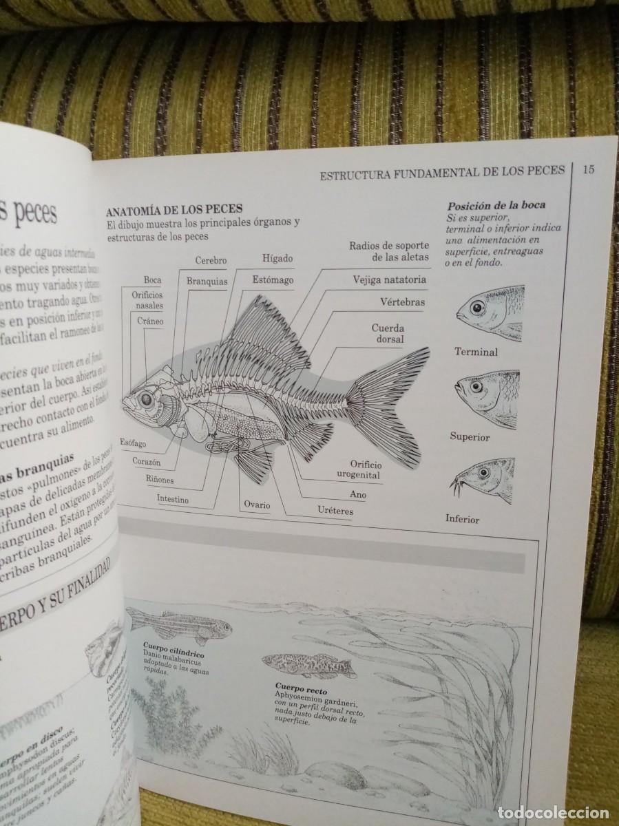 Libros de segunda mano: GU&Iacute;A DEL ACUARIO manual completo - Foto 7