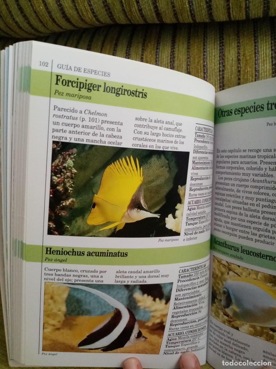 Libros de segunda mano: GU&Iacute;A DEL ACUARIO manual completo - Foto 10